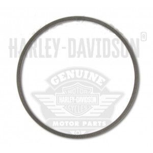 Anel Mola Embreagem Harley XR1200 08-13 37894-02